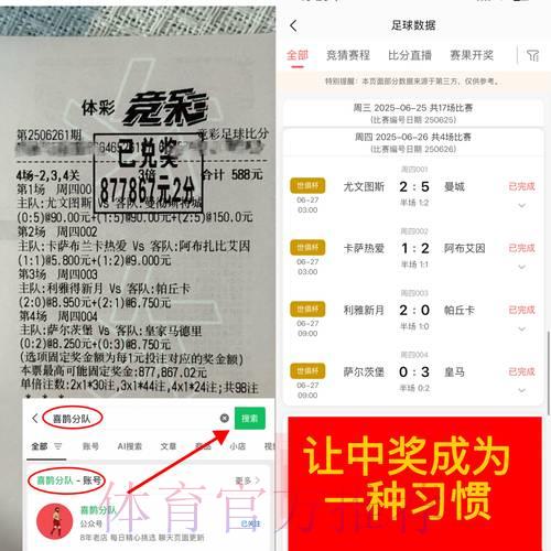 世界杯彩票停售之谜:深度解析原因与多方影响 世界杯彩票停售之谜:深度解析原因与多方影响